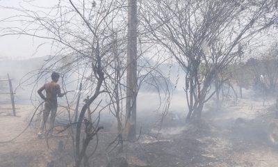 Fire incident in a vacant plot at Songadh village of Sihore - Fire fleet reached