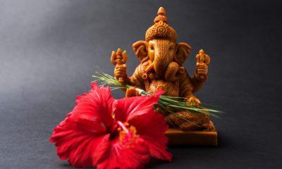 Ganesh Ji Upay: Do this small work with true heart on Wednesday, sorrow and danger will be removed from life