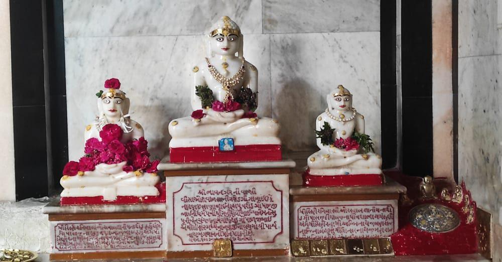 devotees-overflow-with-devotion-in-veer-prabhus-birth-celebration-the-sound-of-faith-resounded-in-the-glorious-rath-yatra