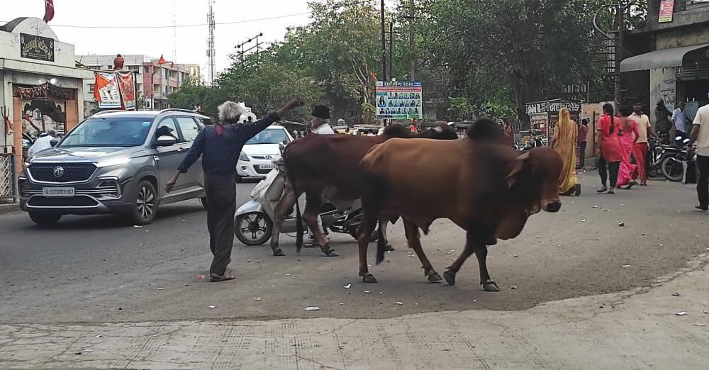 Sinhapur no Baahubali - The liver should be in the mind and not in the body