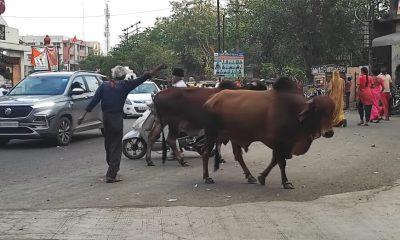 Sinhapur no Baahubali - The liver should be in the mind and not in the body