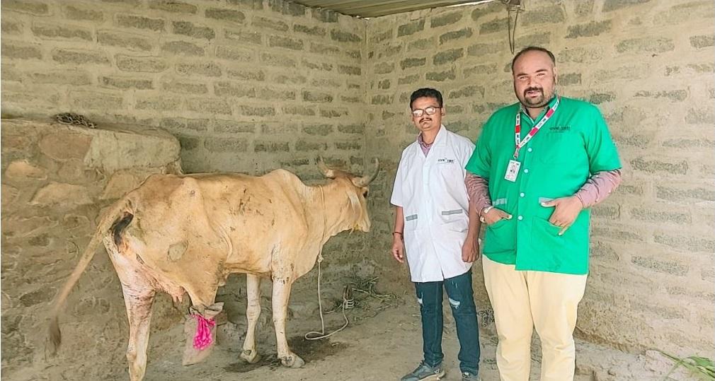 1962 Animan treatment commendable work in Sihore - Todi village treated an injured cow