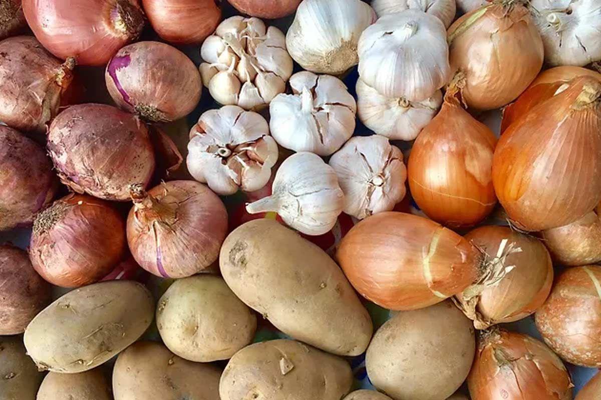 Follow these tricks if you want to keep onions from sprouting in summer