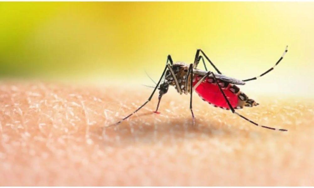 Learn the simplest and easiest ways to prevent malaria