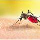 Learn the simplest and easiest ways to prevent malaria