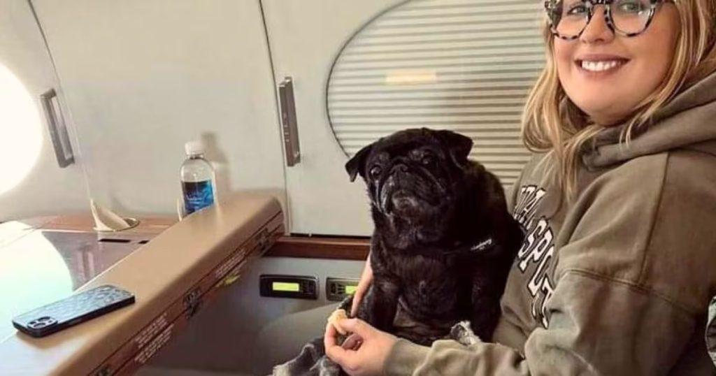 OMG! Woman booked prize jet to transport pet dogs, spent Rs 8 lakh