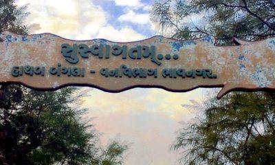 Where are you planning to go on summer vacation? This place in Bhavnagar will make you forget even Goa