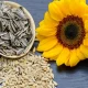 Consuming these seeds can reduce the bad cholesterol accumulated in the body, and also help in keeping the arteries healthy