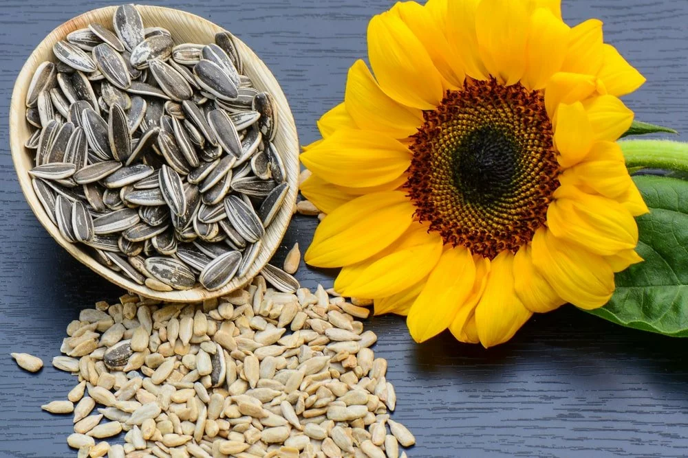 Consuming these seeds can reduce the bad cholesterol accumulated in the body, and also help in keeping the arteries healthy