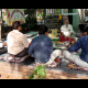at-bhavnagar-dhanvantari-park-lord-dhanvantari-was-worshiped-with-scriptural-rituals