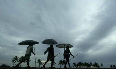 The farmers were left in a dire condition due to continuous rains