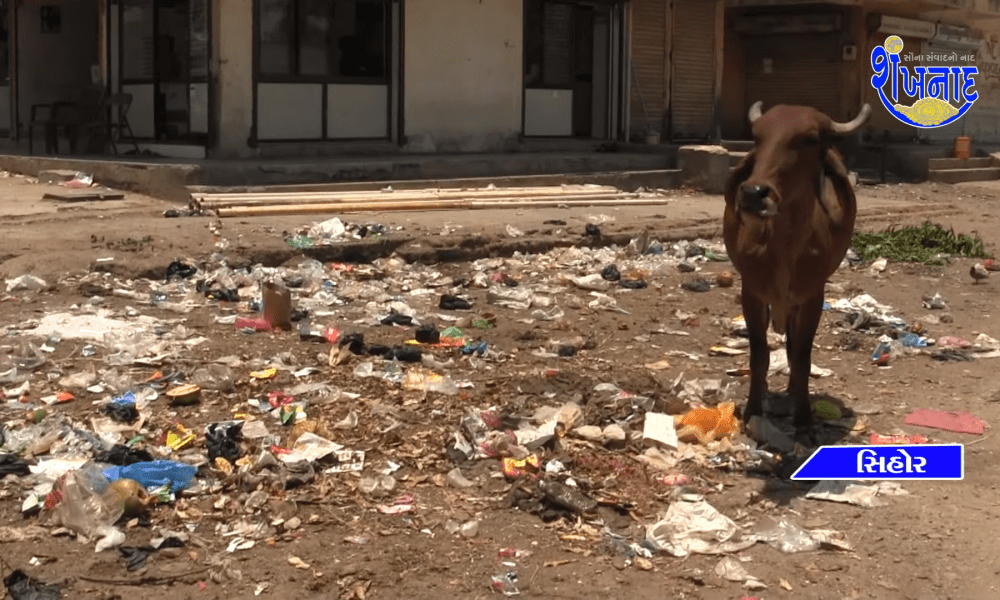 locals-are-worried-about-the-heap-of-dirt-at-sihore-municipality-ward-no-5