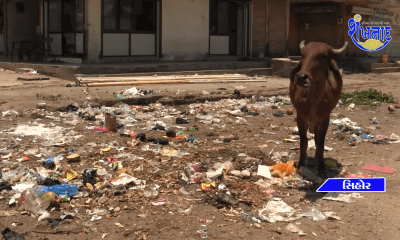 locals-are-worried-about-the-heap-of-dirt-at-sihore-municipality-ward-no-5