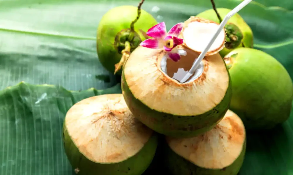 Mix these things in coconut water to make a summer drink with surprising benefits