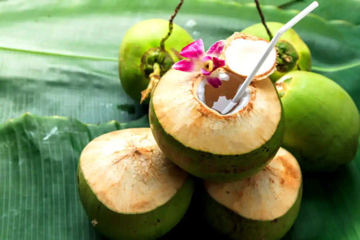 Mix these things in coconut water to make a summer drink with surprising benefits