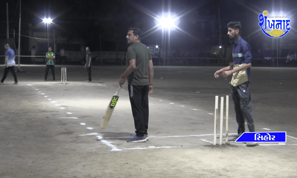 A grand night cricket tournament was organized for the benefit of Sihor Gauseva.