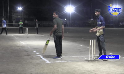 A grand night cricket tournament was organized for the benefit of Sihor Gauseva.