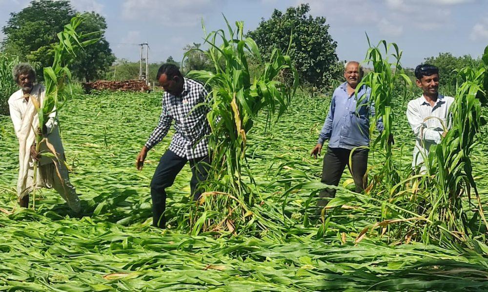 Expensive houses; In Sihore Panthak, the crops were destroyed, the farmers wept for water at night