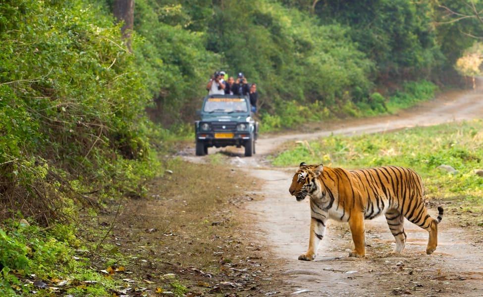 Visit these national parks of India on a summer trip, the experience will be different