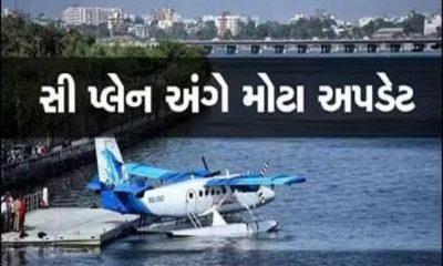 Government ready to start seaplane service in Ambaji and Saputara including Palitana