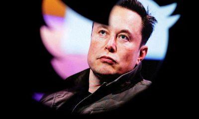 Twitter will close inactive accounts, Elon Musk says - follower count may drop