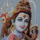 If you want to get rid of all troubles then worship Lord Shiva like this on Mahesh Navami day