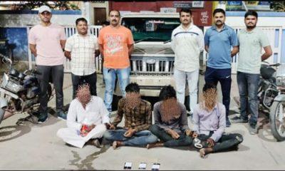 Vehicle-livestock stealing gang caught in five districts including Sihore
