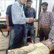 The cheapest hospital in the district is in Sihore, it treats a patient for just 20 rupees