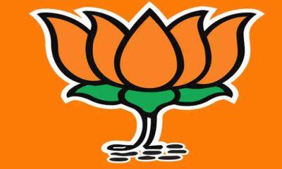 District BJP will meet for three days from tomorrow at Bandhan Party plot in Sihore, various talukas and city offices of the district.
