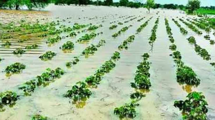 Include aid to Mawtha-stricken Sihore and Jessore dioceses; Little brother Dakhra