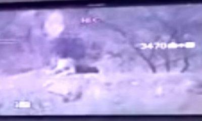 Fear situation - Leopard seen resting between the cliffs of Sihore hills: Scenes captured on camera, people panic