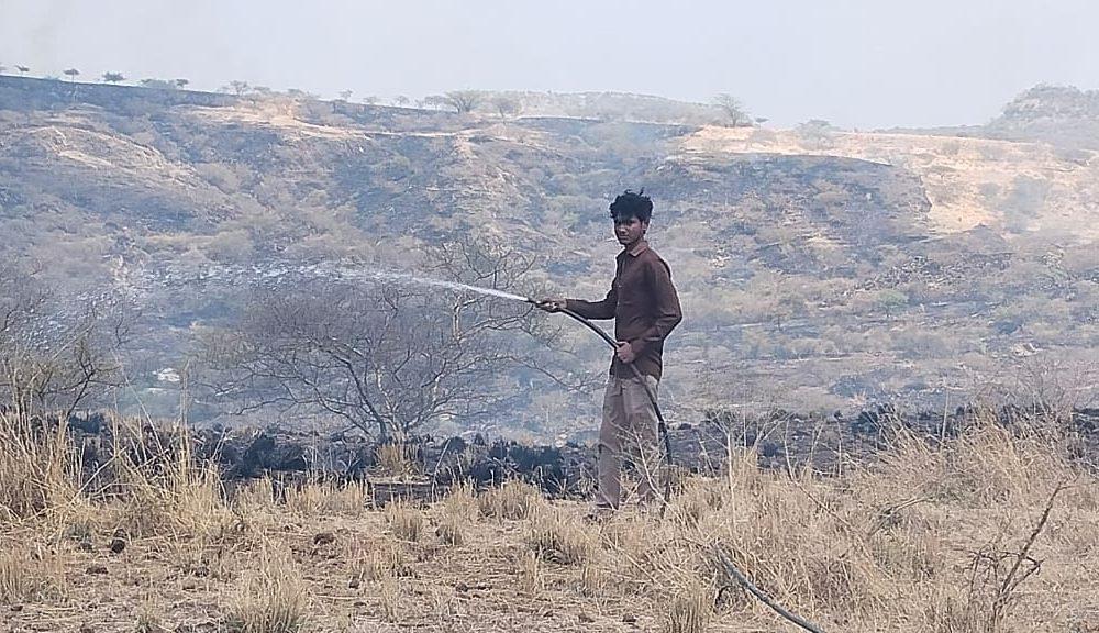 A fire broke out in the forest area of Songadh Piparla village of Sihore, the forest department was put to work to control it