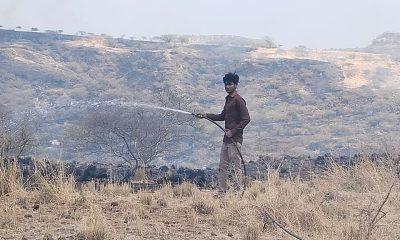 A fire broke out in the forest area of Songadh Piparla village of Sihore, the forest department was put to work to control it