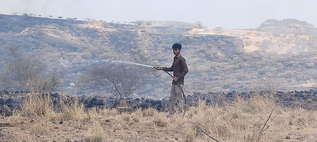 A fire broke out in the forest area of Songadh Piparla village of Sihore, the forest department was put to work to control it