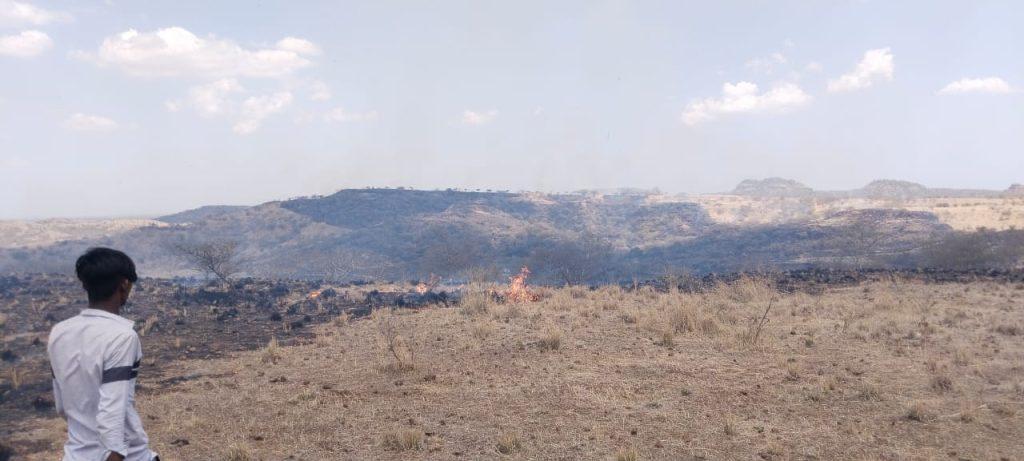 A fire broke out in the forest area of Songadh Piparla village of Sihore, the forest department was put to work to control it