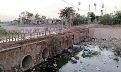 When will the rivers passing through Bhavnagar city be purified?