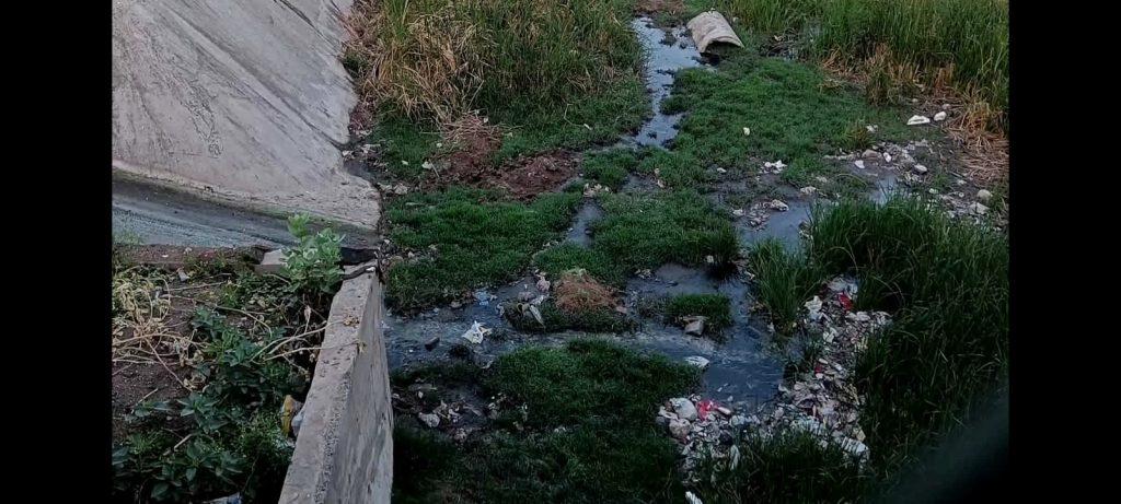 When will the rivers passing through Bhavnagar city be purified?