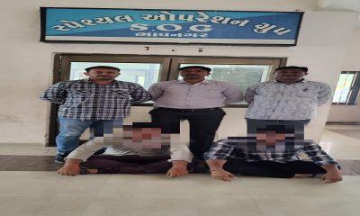 the-case-of-dummikand-bhavnagar-police-nabbed-three-including-a-minor-taking-the-total-number-of-arrests-to-50