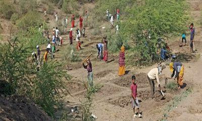 rural-workers-are-getting-employment-after-the-relief-work-has-started-many-rural-families-are-living-under-mnrega-scheme-in-khambha-village-of-sihore