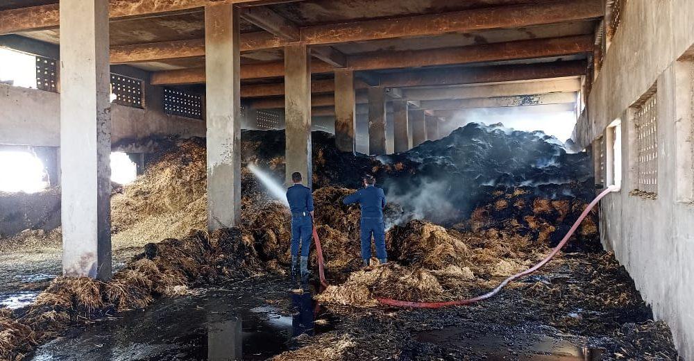 Sihor; Fierce fire in Panjrapola located in Samdhiyala; Fodder worth lakhs was burnt and consumed