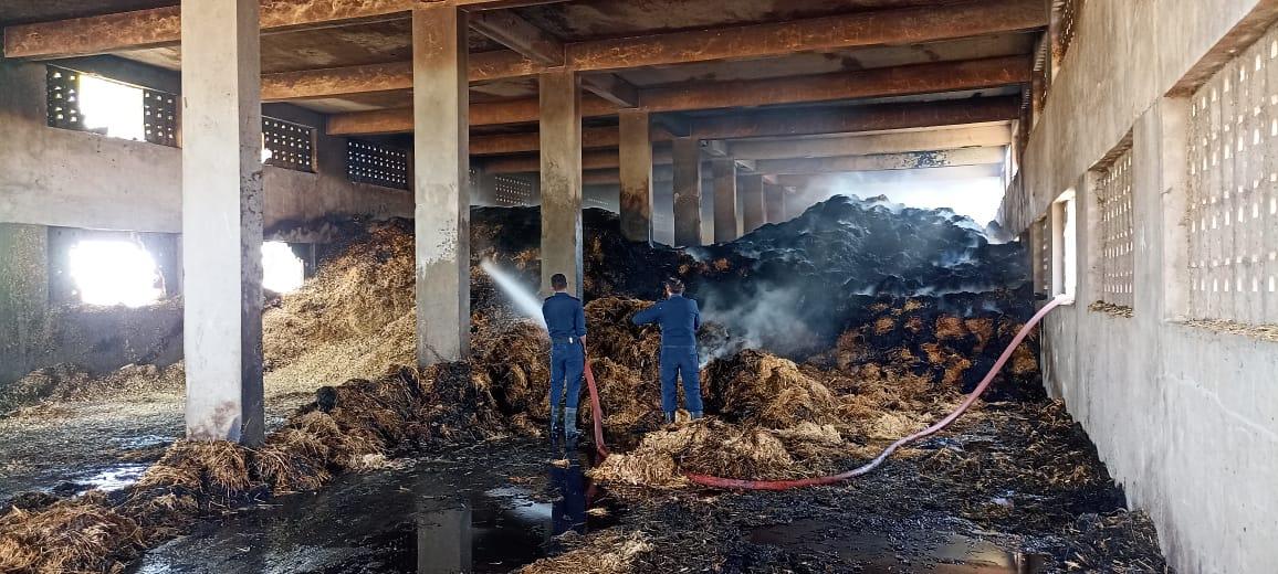Sihor; Fierce fire in Panjrapola located in Samdhiyala; Fodder worth lakhs was burnt and consumed