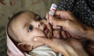 Polio campaign to start in Bhavnagar district including Sihore from tomorrow