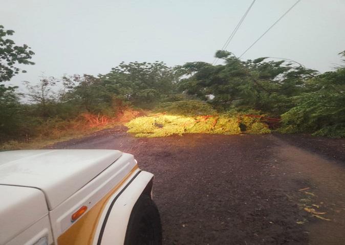 Sehore police personnel removed the fallen trees due to the storm