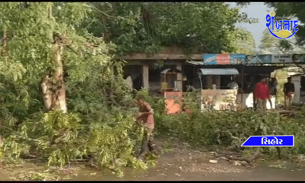 High winds and squalls with squalls in Sihore city and Panthak in the afternoon.