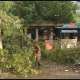 High winds and squalls with squalls in Sihore city and Panthak in the afternoon.