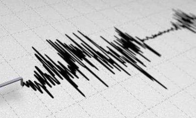 Strong 7.1 magnitude earthquake hits Loyalty Island, no tsunami threat