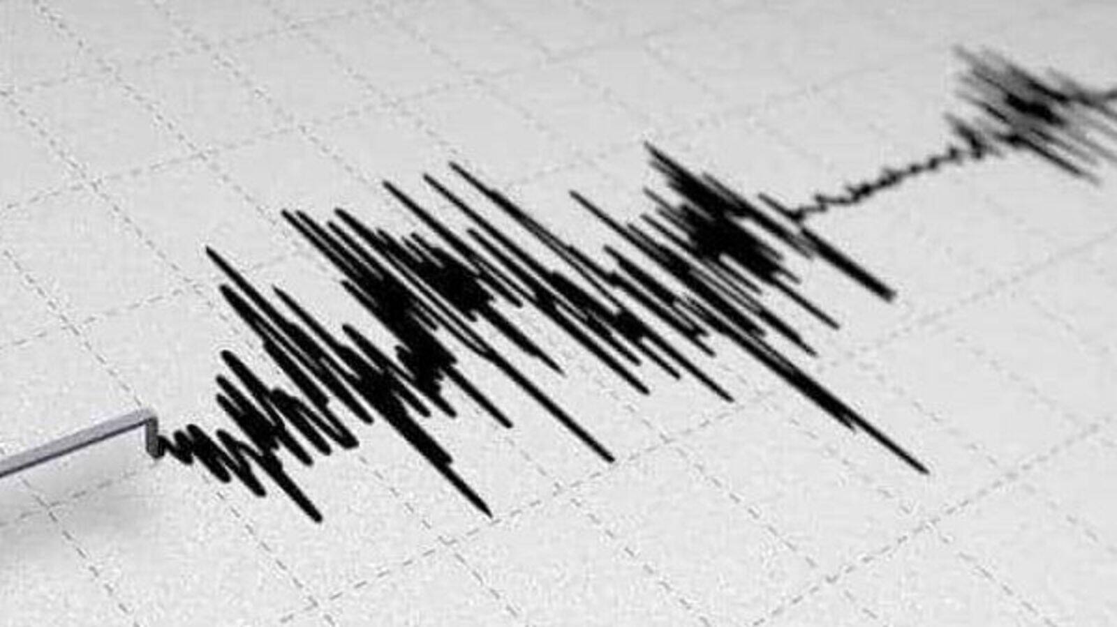 Strong 7.1 magnitude earthquake hits Loyalty Island, no tsunami threat