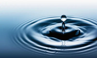 Survival-without-water