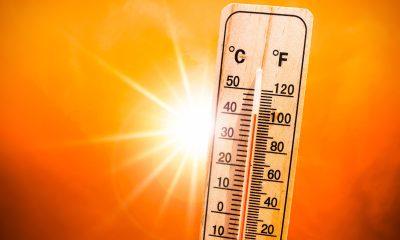 In Bhavnagar district, the district turned into an incendiary amid 43 degree heat; The hot wind worsened the situation