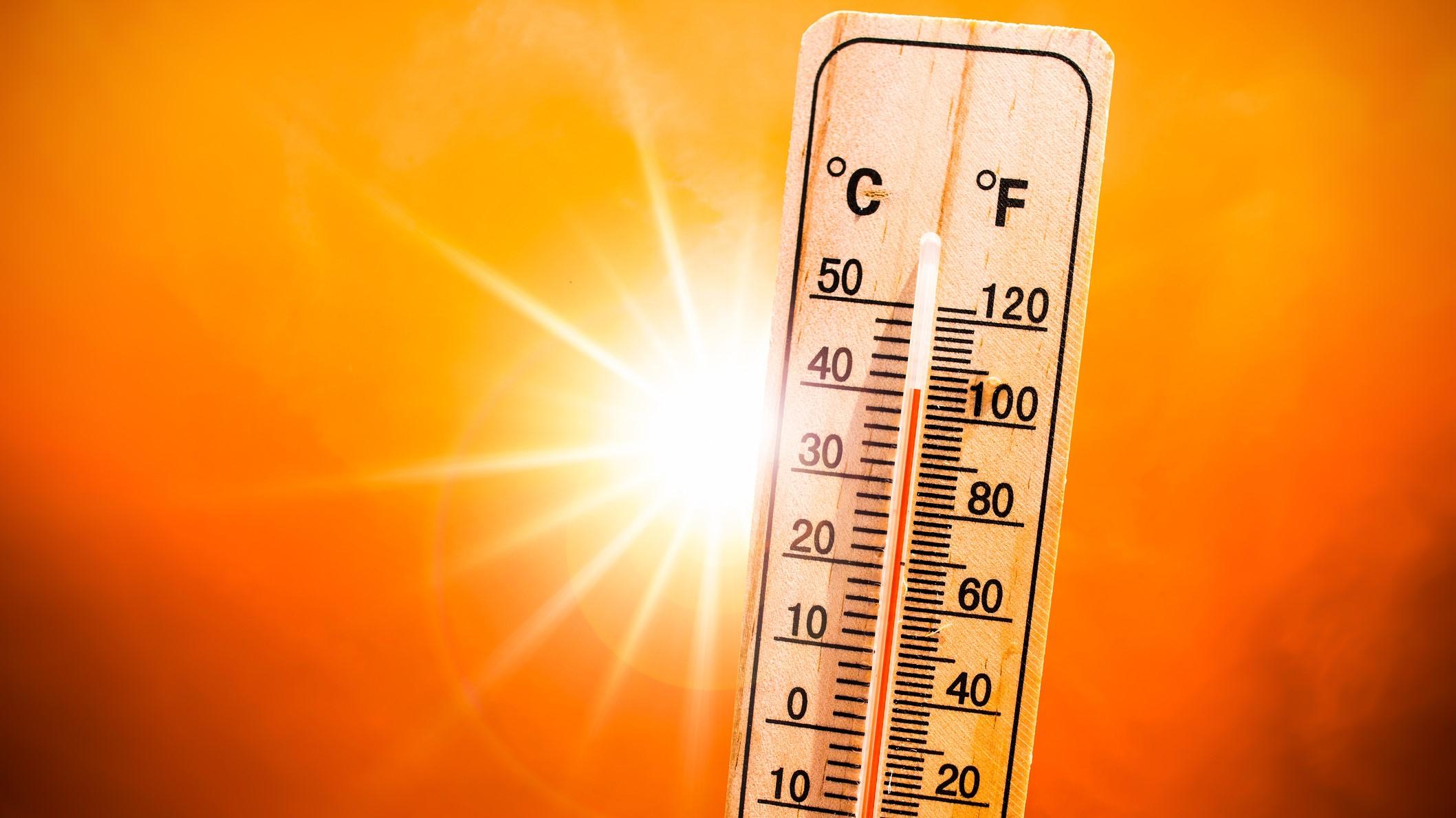 In Bhavnagar district, the district turned into an incendiary amid 43 degree heat; The hot wind worsened the situation